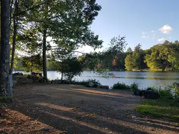 Wooded lakefront campsite 109 featuring electrical hookups and a wide, scenic view of Swains Lake