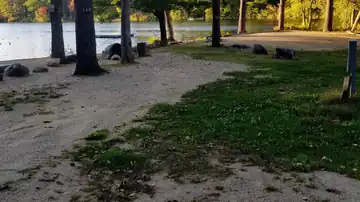 Premium waterfront campsite 119 offering direct, private walk-on access to the sandy beach