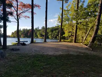 Sandy waterfront campsite 120 framed by tall pines with views of the swimming raft